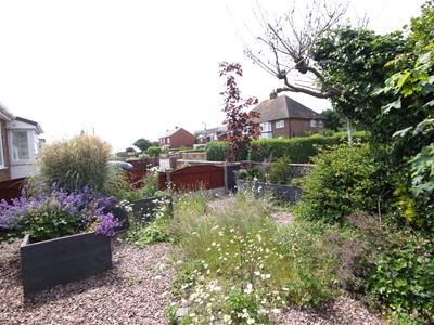 Picture 32